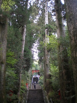 箱根神社5.JPG