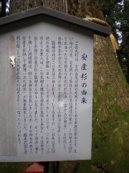 箱根神社９.JPG